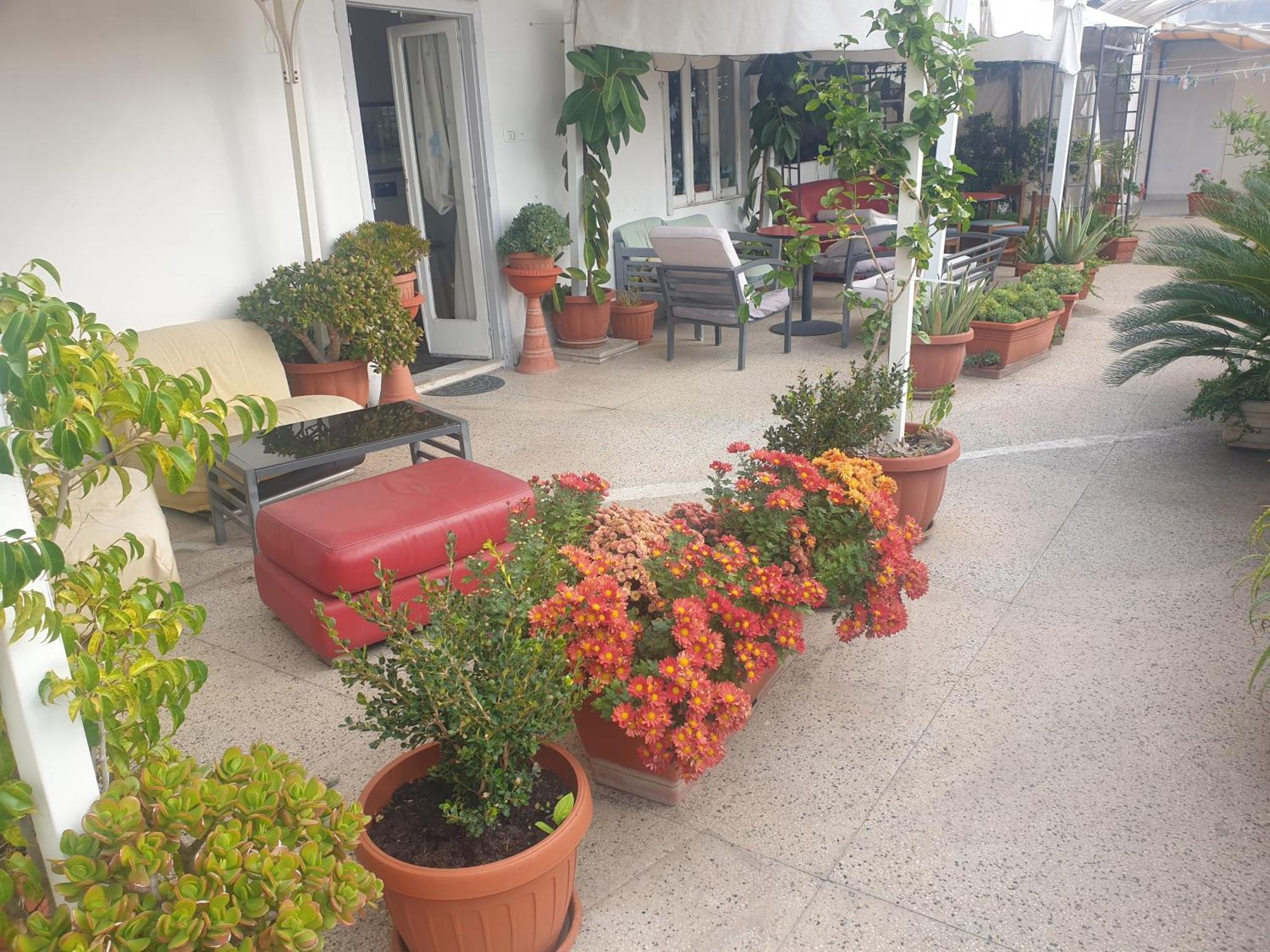 B&B Ganaj La Terrazza Di Ganaj בארי מראה חיצוני תמונה